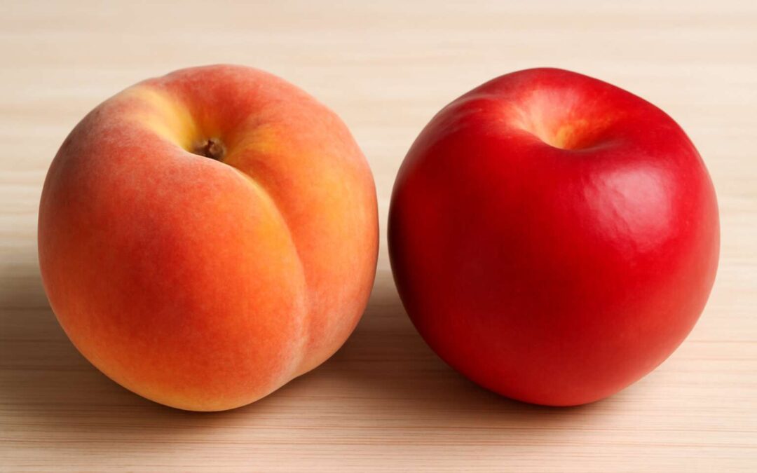 can you be allergic to peaches but not nectarines – the surprising reason behind it.