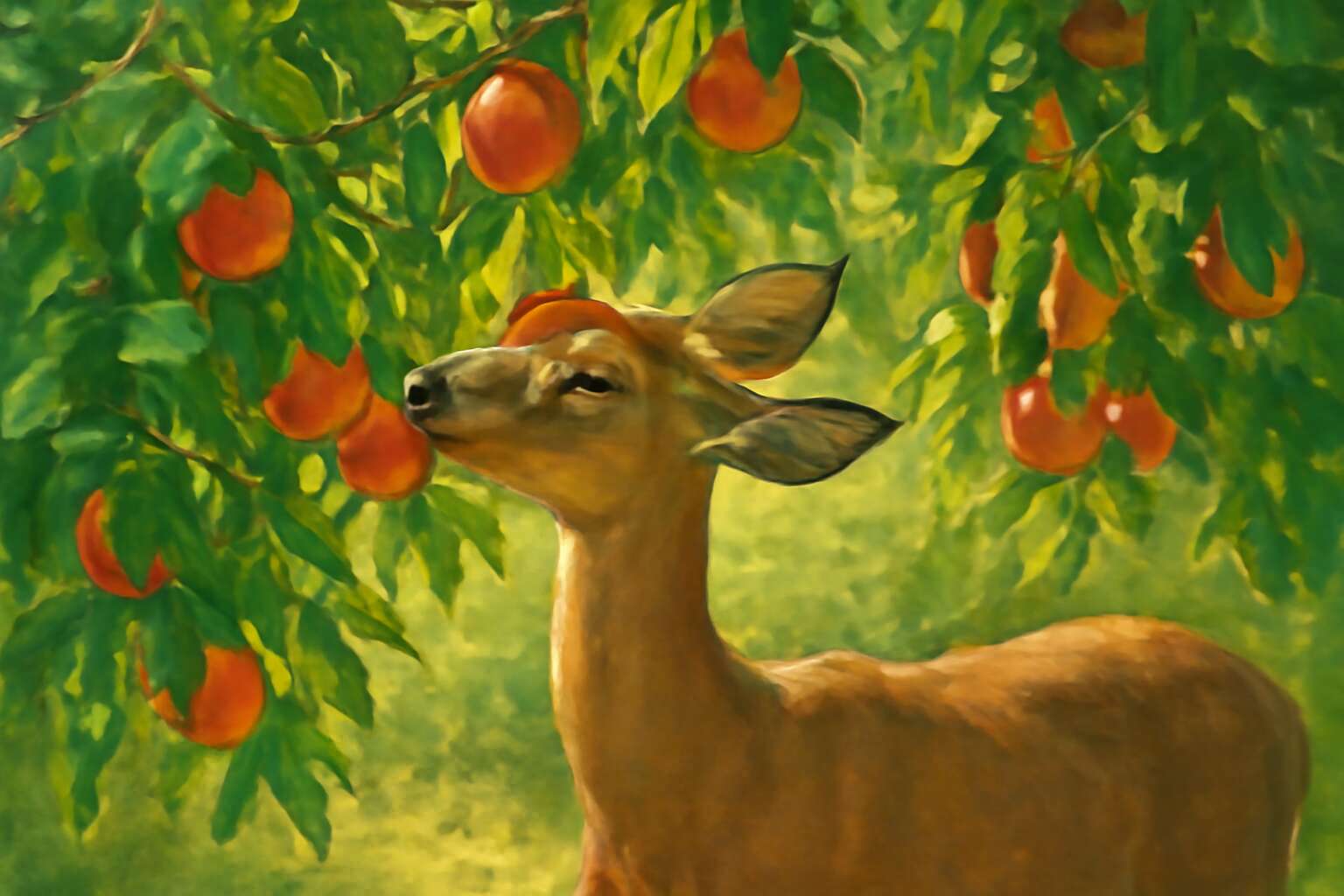 generated_image_6a4a4fea3bd24.jpg do deer eat nectarines