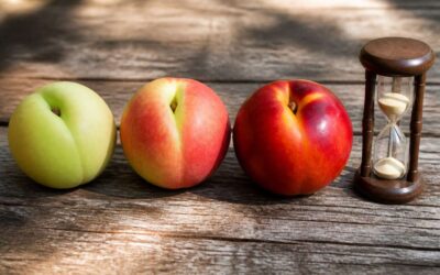 How long do nectarines take to ripen?